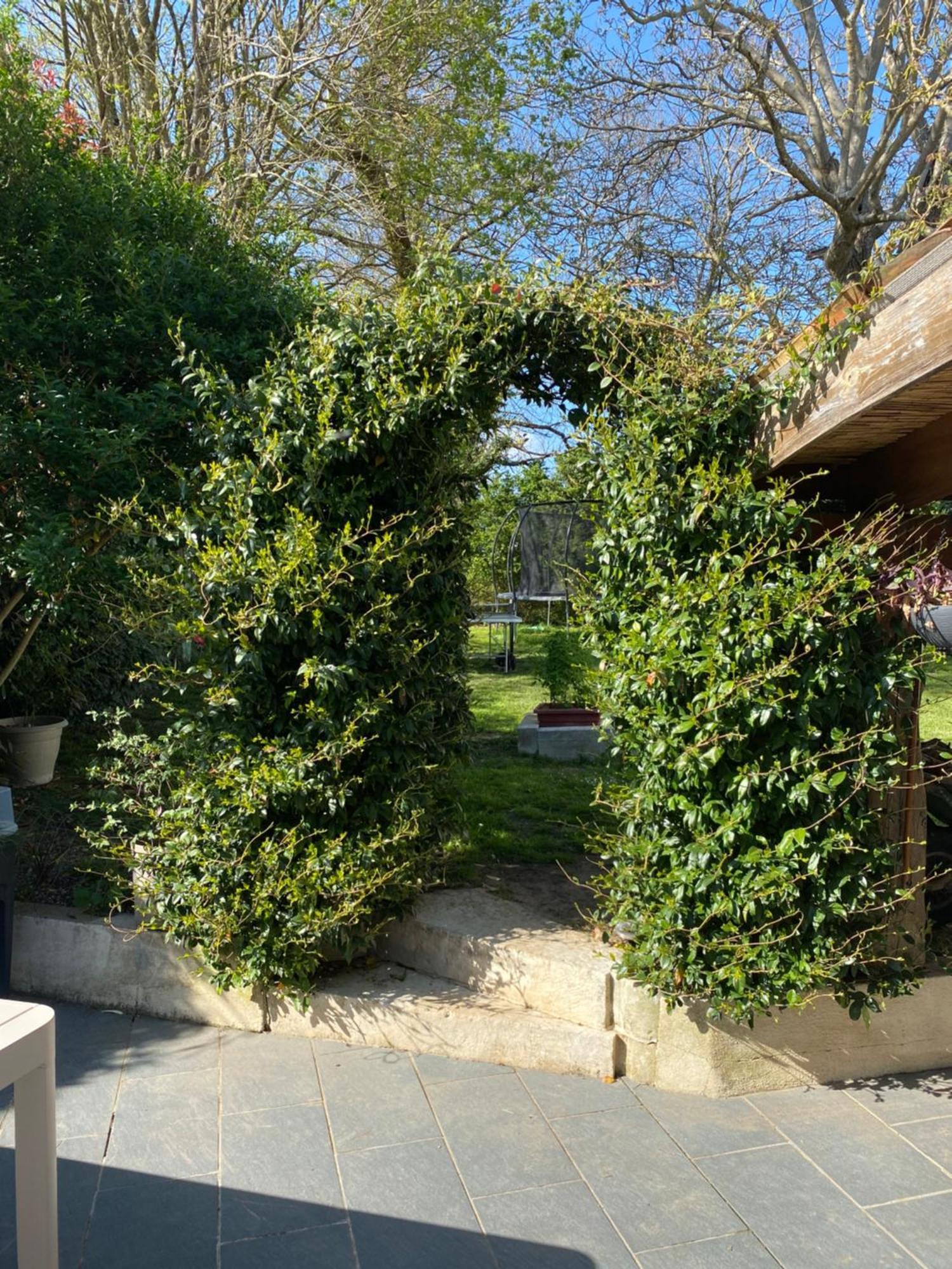 Montpellier-de-Médillan Les 5 Timbresヴィラ エクステリア 写真
